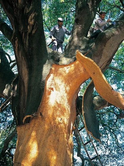 Pessoas e Politicas (2)